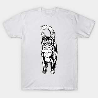 Tom Selleck the Cat: Cat Sharpie Drawings T-Shirt